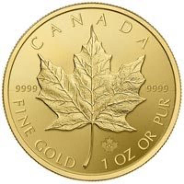 1 oz. Gold Canadian Maple Leaf Gold Bullion Coin
Noble Gold Investments
Bullion Delivered USA & Canada
IRA 401k Expert Support
4.8 Trustpilot Rating

