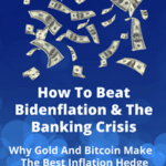 Hoe to Beat Bidenflatio & the Banking Crrisis book cover